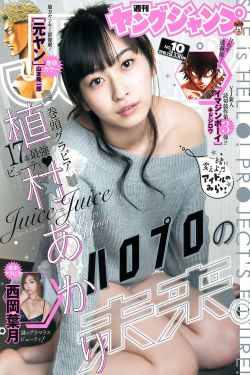 电视剧《你比星光美丽》